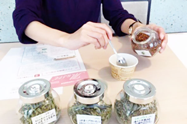 女性の不調を整えるアロマセラピー